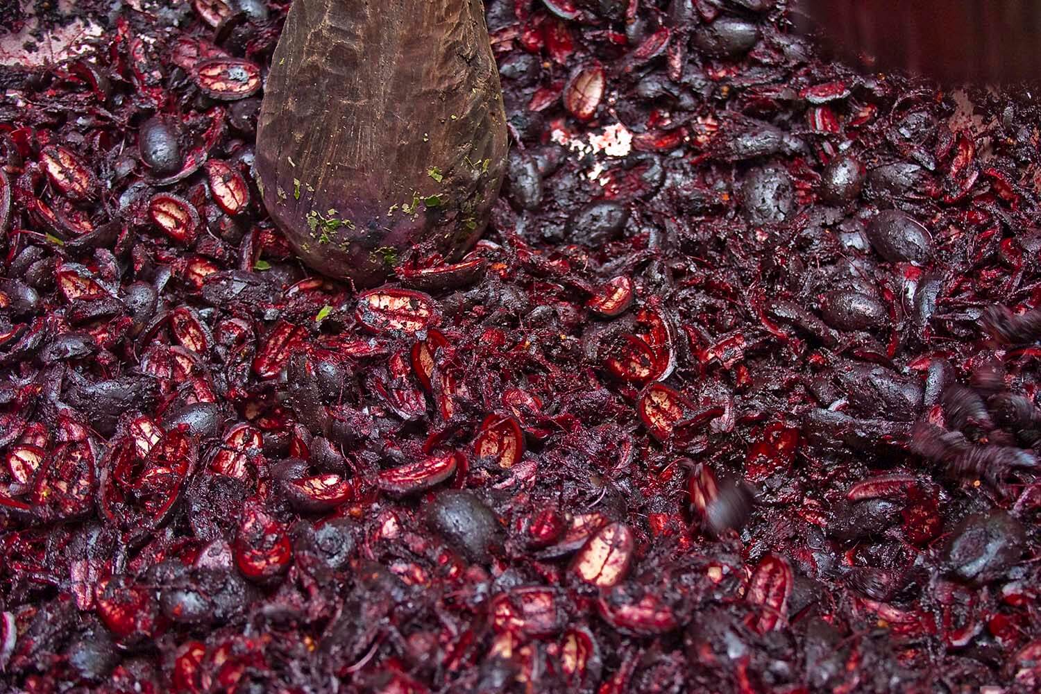 HUITILLO 09_galeria9 _MG_3162.jpg